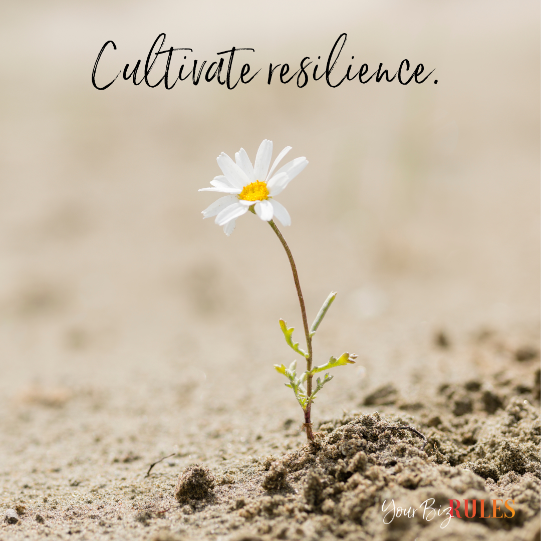 This flower represents cultivating resilience by showing that growth is possible no matter what your environment looks like!